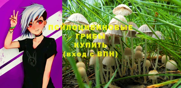 ешки Вязьма