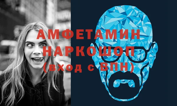 прущие грибы Тавда