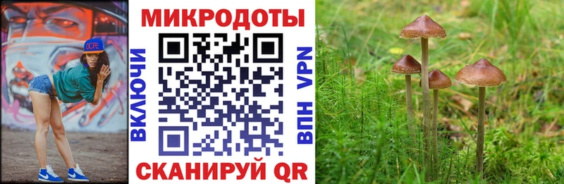 Галлюциногенные грибы Psilocybine cubensis  Вилюйск 